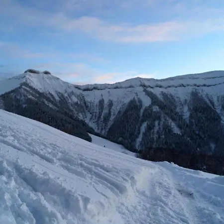 Flat In Near Slopes * Миттерзилль