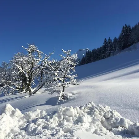 Apartmán Flat In Near Slopes *