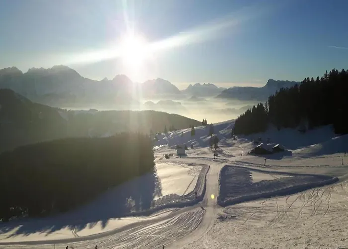 Flat In Near Slopes Mittersill