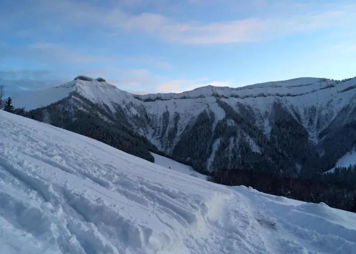 Flat In Near Slopes * Mittersill