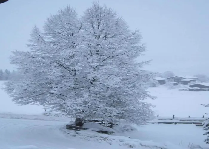 Flat In Near Slopes Mittersill